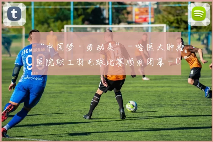 “中国梦·劳动美” - 哈医大肿瘤医院职工羽毛球比赛顺利闭幕 - Copy