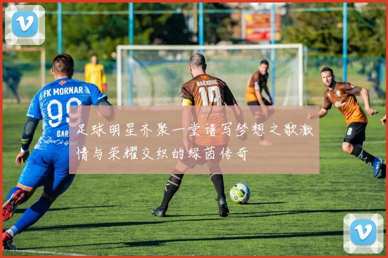 足球明星齐聚一堂谱写梦想之歌激情与荣耀交织的绿茵传奇