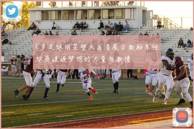 C罗足球明星壁画高清展示激励年轻球员追逐梦想的力量与激情