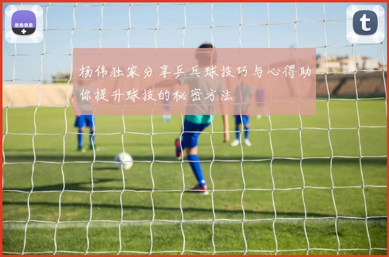 杨伟独家分享乒乓球技巧与心得助你提升球技的秘密方法