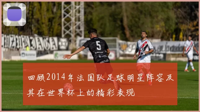 回顾2014年法国队足球明星阵容及其在世界杯上的精彩表现