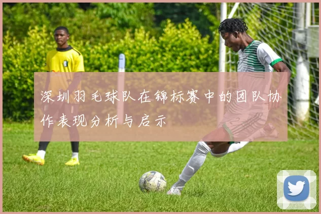 深圳羽毛球队在锦标赛中的团队协作表现分析与启示
