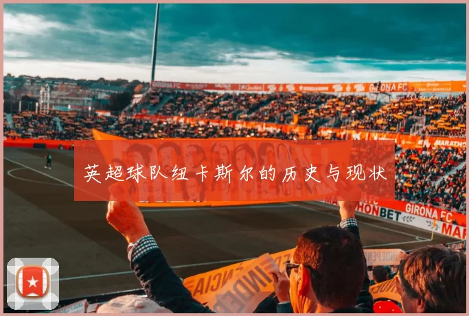 英超球队纽卡斯尔的历史与现状