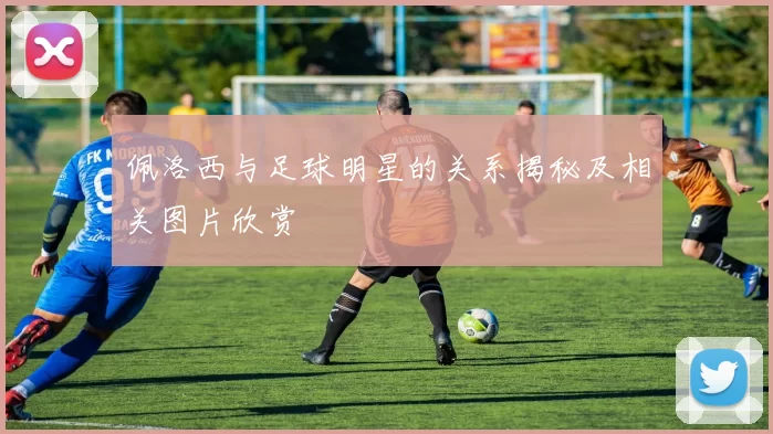 佩洛西与足球明星的关系揭秘及相关图片欣赏