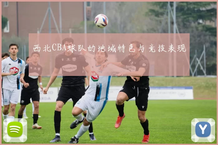 西北CBA球队的地域特色与竞技表现