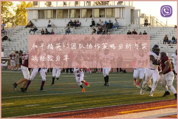 和平精英V5团队协作策略分析与实战经验分享