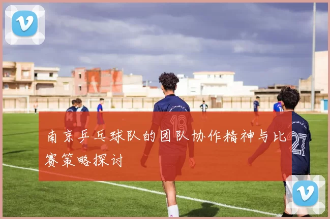 南京乒乓球队的团队协作精神与比赛策略探讨