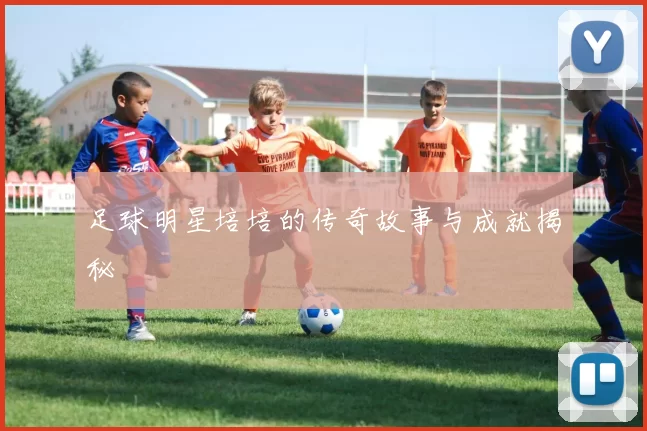 足球明星培培的传奇故事与成就揭秘
