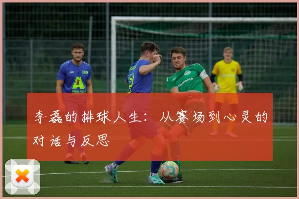 李磊的排球人生：从赛场到心灵的对话与反思