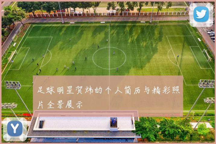 足球明星贺炜的个人简历与精彩照片全景展示