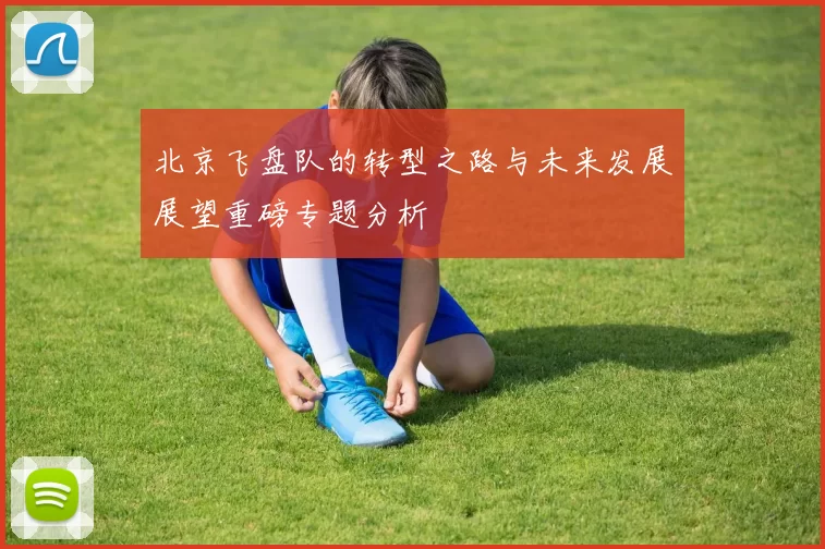 北京飞盘队的转型之路与未来发展展望重磅专题分析