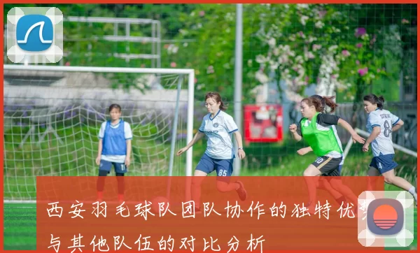 西安羽毛球队团队协作的独特优势与其他队伍的对比分析