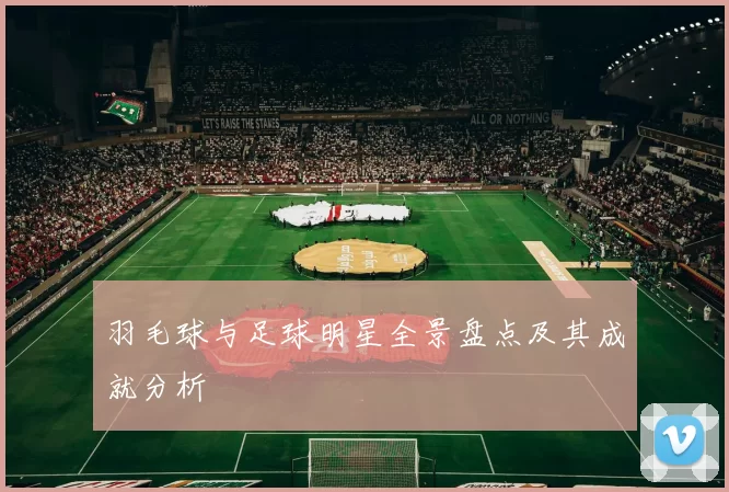 羽毛球与足球明星全景盘点及其成就分析