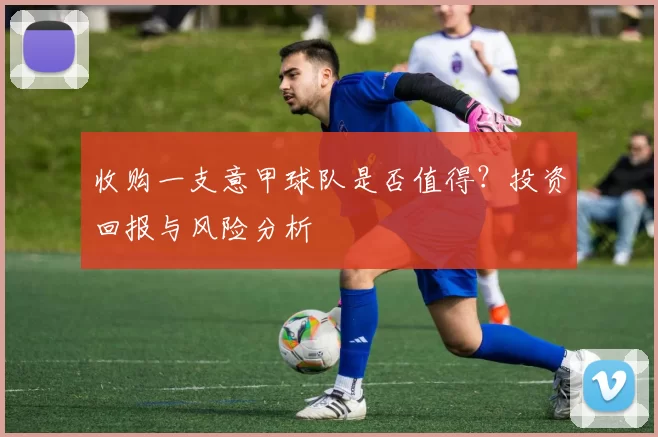 收购一支意甲球队是否值得？投资回报与风险分析