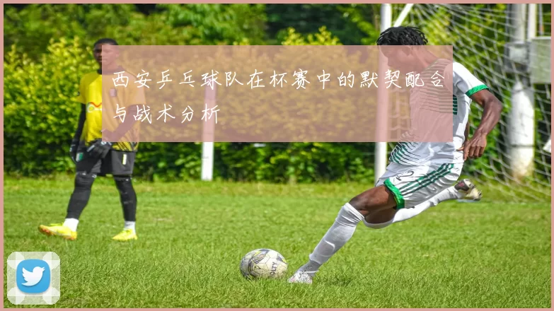 西安乒乓球队在杯赛中的默契配合与战术分析