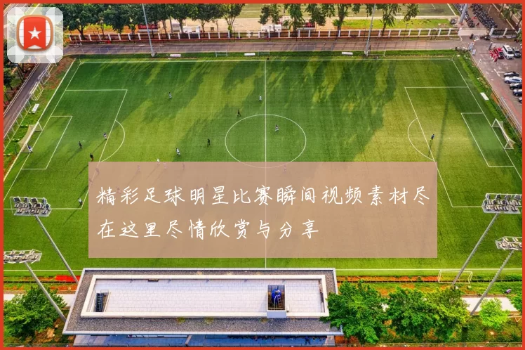 精彩足球明星比赛瞬间视频素材尽在这里尽情欣赏与分享