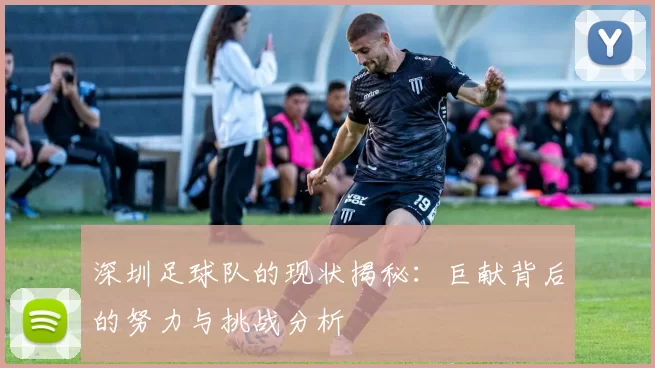 深圳足球队的现状揭秘：巨献背后的努力与挑战分析
