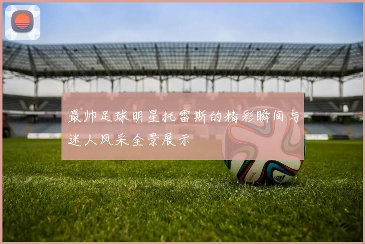 最帅足球明星托雷斯的精彩瞬间与迷人风采全景展示
