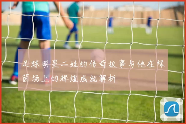 足球明星二娃的传奇故事与他在绿茵场上的辉煌成就解析